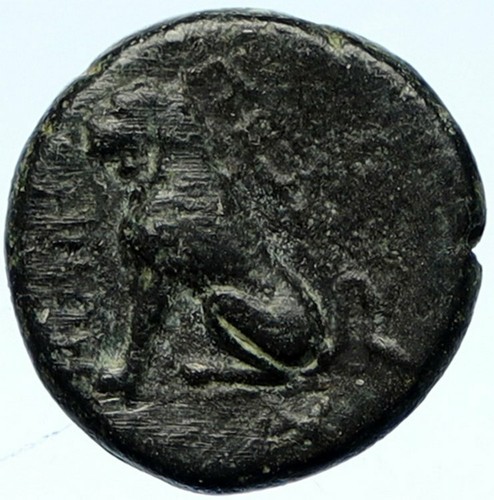 Peltai frigia autentica - frigia,