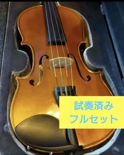 Violino domestico lusso - violino,