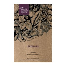 Arachidi - , (arachis