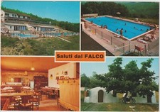 PESSOLA - "IL FALCO" RISTORANTE PIZZERIA DISCOTECA PISCINA - VARSI (PARMA) 1985