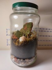 terrario mini con piante