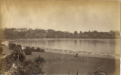 Botanico giardini lago vista - botanico,
