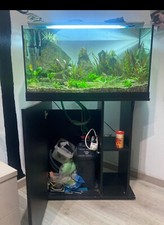 acquario usato 180 lt juwell