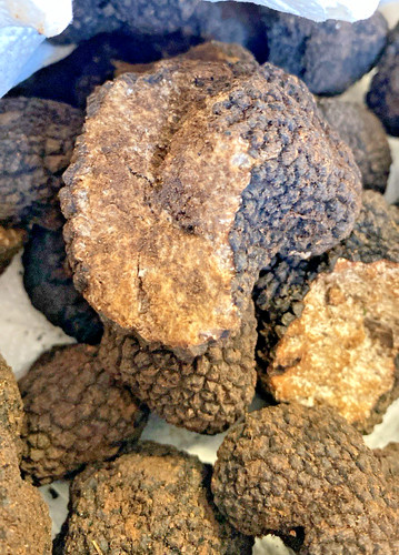 Tartufo estivo 200g - tartufo,