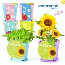 Science Experiment Kit Piante