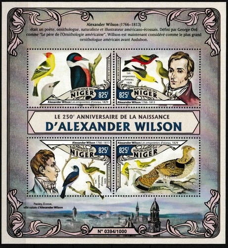 Niger alexander wilson - niger,