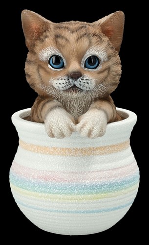 Figura decorativa gatto - figura,