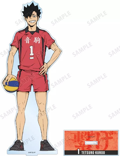 Tetsuro kuroo supporto - tetsuro,