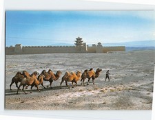 Cartolina Passo Jiayu Gansu