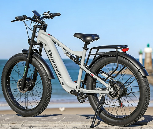 Bicicletta elettrica doppio