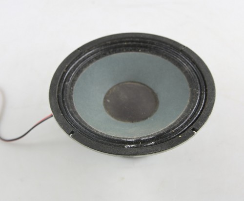 Altoparlante 25cm - 1,