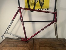 Telaio De Rosa Professional