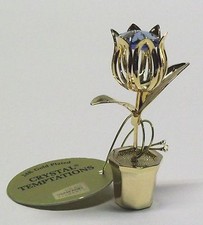 G 4202 Tulipano D'Oro In Vaso