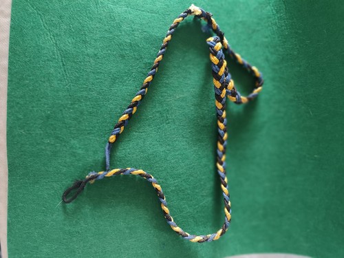 Cordelline alta uniforme - alta,