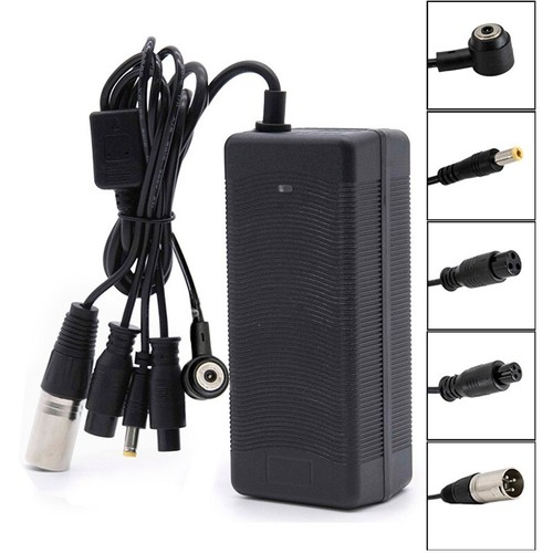 Caricabatterie multiuso 36v - 36v, 2a