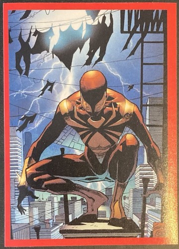 The amazing spider man panini - spider-man,,