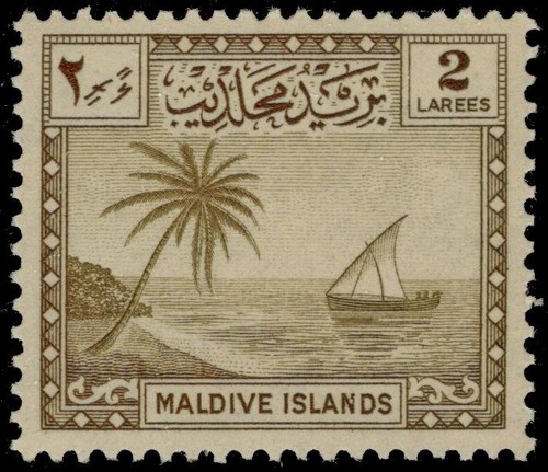 Isole maldive palma e - 20,