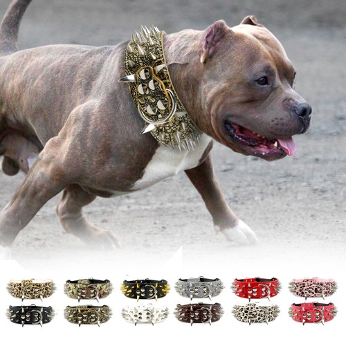 Collari per cani doberman - , in