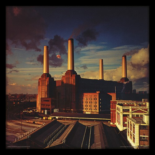 Pink floyd animals - pink,