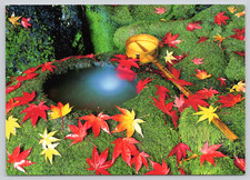 Cartolina Lavabo da Giardino Tradizionale Giapponese Tsukubai - Foglie d'Acero in Autunno