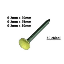 50 Chiodi In Acciaio Per Quadri Testa Ottonata Chiodini Chiodo Per Muro