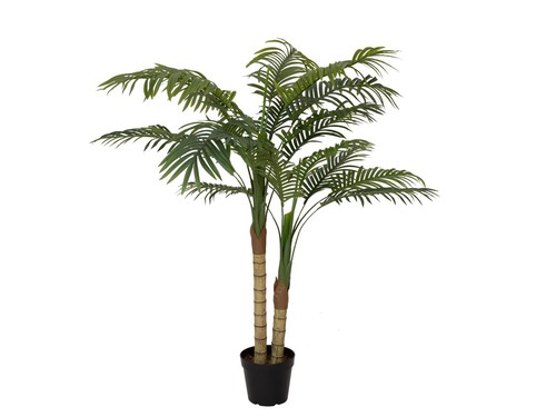 Europalms palma areca - palma,