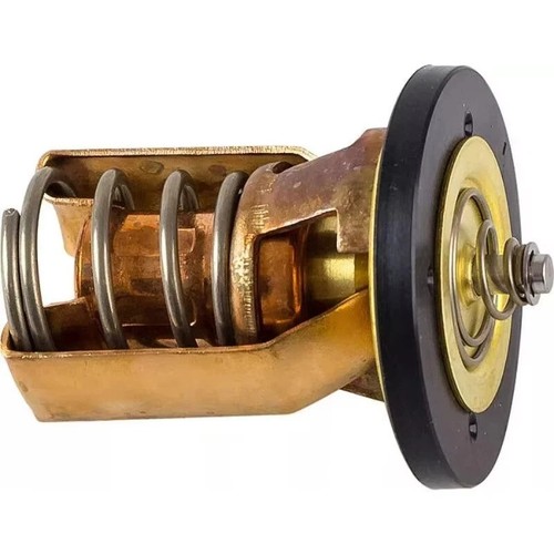 Termostato motore marino