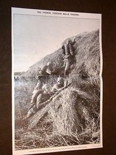 Guerra Europa Anno 1914 Ypres