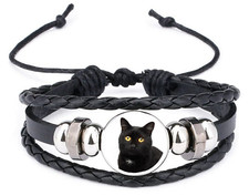 Black Cat Pet Black Leather