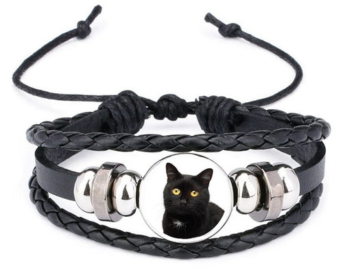 Black cat pet leather - cat,