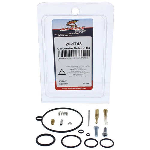 Kit revisione carburatore - kit,