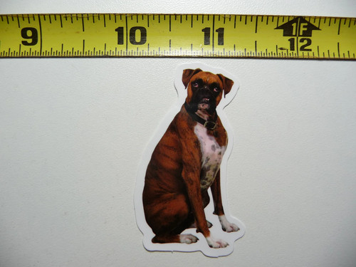 Adesivo duro boxer cane
