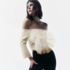 Zara CROPPED FLORAL TULLE TOP