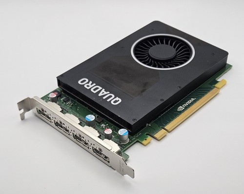 Scheda grafica video nvidia - grafica,