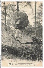 APFP8-0621-77 - Fontainebleau