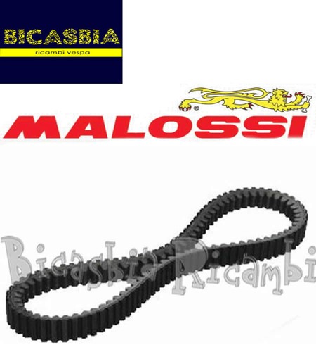 4843 cinghia variatore - -,