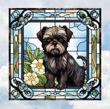 Affenpinscher Cane Finto Vetro