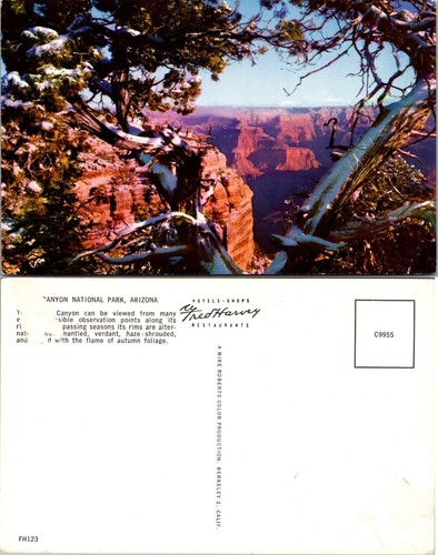 Cartolina canyon view - cartolina, parco