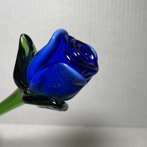 Rosa blu cobalto con - foglie, e