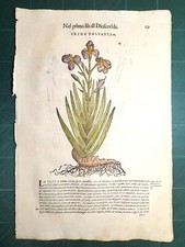 MATTIOLI MATTHIOLI Erbario a