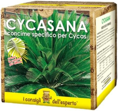 Consigli dellâ esperto - consigli, dellâ€™esperto