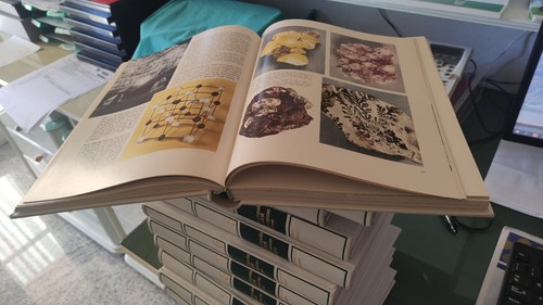 Enciclopedia labor del ragazzo - del,