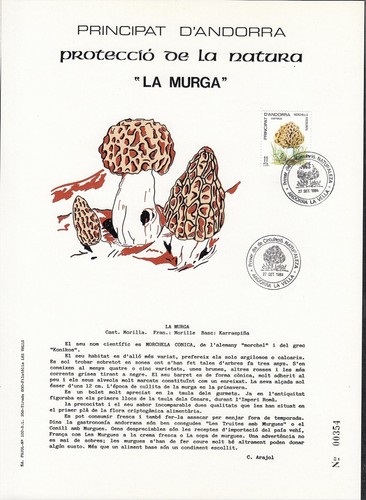 Andorra 1984 spanish - 1984-, andorra-