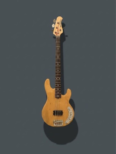 Ernie ball music - ball, stingray