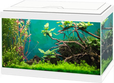 Askoll acquario aqua - askoll, bianco