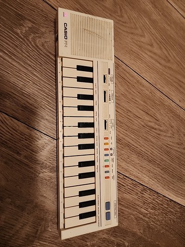 Casio tastiera - casio,