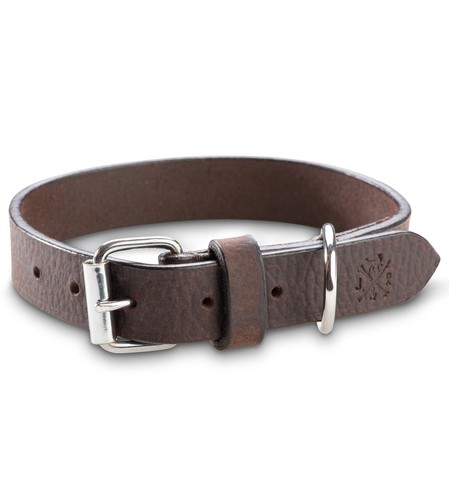 Jack russell premium - ,
