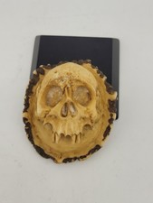 Teschio intagliato corno
