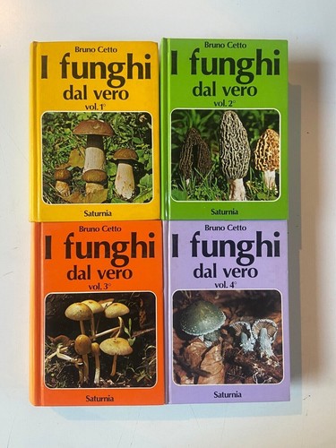 Funghi dal vero bruno cetto - i,