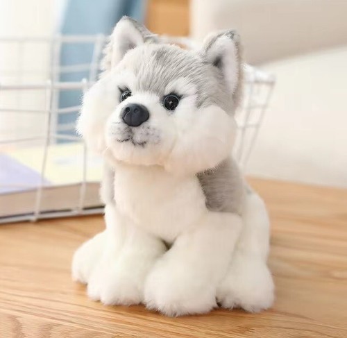 Peluche cane husky - peluche,